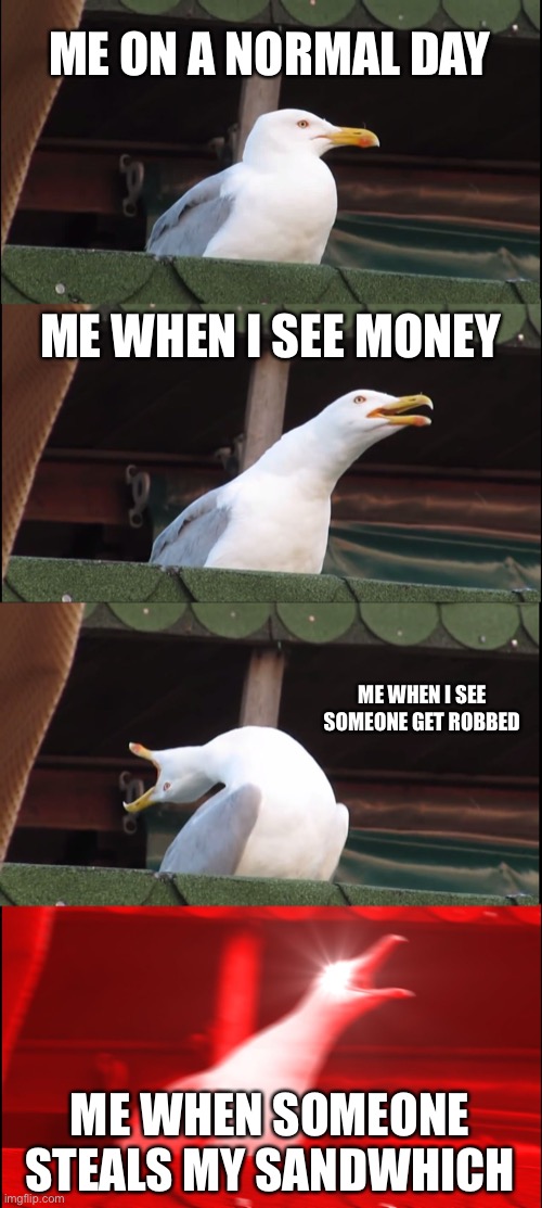 MY SANDWHICH | ME ON A NORMAL DAY; ME WHEN I SEE MONEY; ME WHEN I SEE SOMEONE GET ROBBED; ME WHEN SOMEONE STEALS MY SANDWHICH | image tagged in memes,inhaling seagull | made w/ Imgflip meme maker