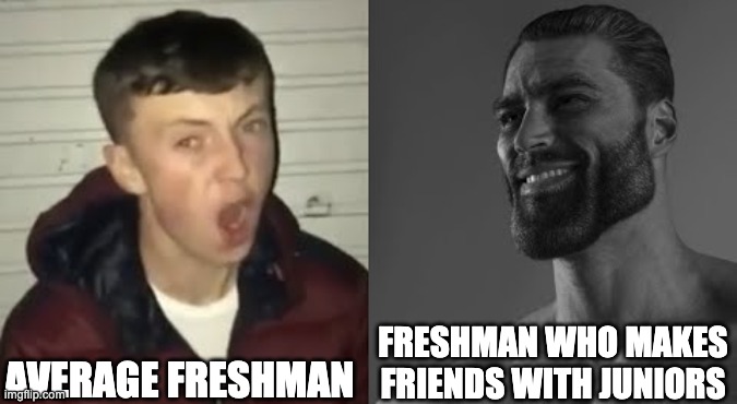 Extremely unpopular social decisions in High School | AVERAGE FRESHMAN; FRESHMAN WHO MAKES FRIENDS WITH JUNIORS | image tagged in average enjoyer meme | made w/ Imgflip meme maker
