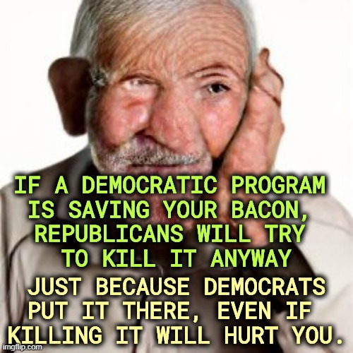 IF A DEMOCRATIC PROGRAM 
IS SAVING YOUR BACON, 
REPUBLICANS WILL TRY 
TO KILL IT ANYWAY; JUST BECAUSE DEMOCRATS PUT IT THERE, EVEN IF 
KILLING IT WILL HURT YOU. | image tagged in democrats,help,republicans,hate | made w/ Imgflip meme maker