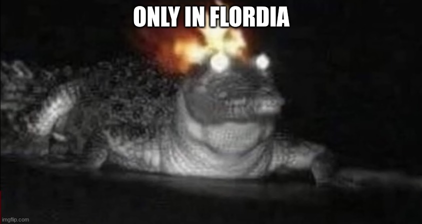 flordia man aproves | ONLY IN FLORDIA | image tagged in florida,aligator,fire | made w/ Imgflip meme maker