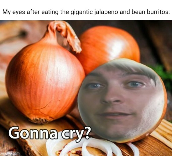 Spicy: Jalapeno and bean burritos | My eyes after eating the gigantic jalapeno and bean burritos: | image tagged in gonna cry onion,gonna cry,funny,memes,burritos,burrito | made w/ Imgflip meme maker