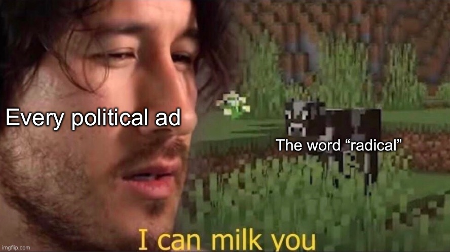 John Doe is too radical for [insert state] !!1!!!1!!11 | Every political ad; The word “radical” | image tagged in i can milk you template | made w/ Imgflip meme maker