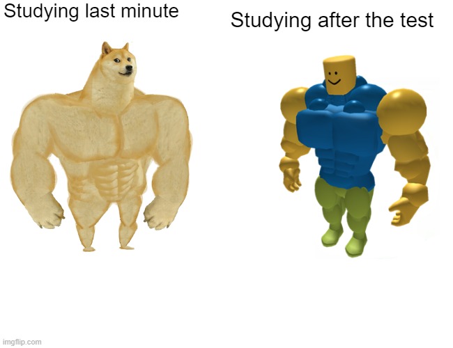 Yes | Studying last minute; Studying after the test | image tagged in blank white template | made w/ Imgflip meme maker