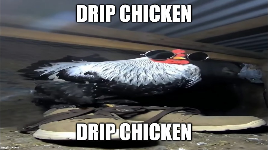The Chicken be Drippin | DRIP CHICKEN; DRIP CHICKEN | image tagged in cold,meme | made w/ Imgflip meme maker