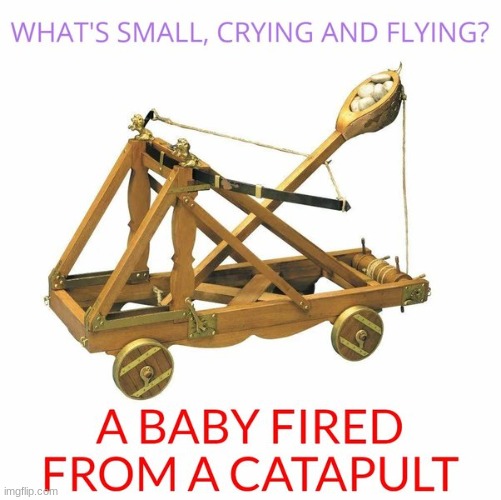 If you fired one from a cannon it might not be crying, but it'd still be flying | made w/ Imgflip meme maker