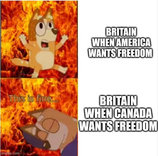 I'm not wrong | BRITAIN WHEN AMERICA WANTS FREEDOM; BRITAIN WHEN CANADA WANTS FREEDOM | image tagged in bluey chili pain,bluey,history,funny | made w/ Imgflip meme maker