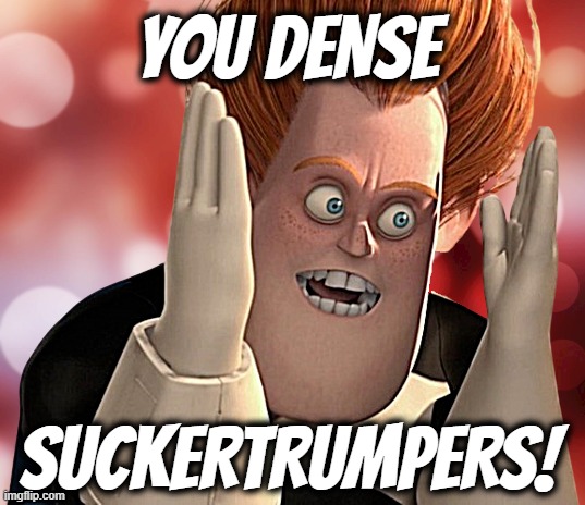 DENSE SUCKERTRUMPERS | YOU DENSE; SUCKERTRUMPERS! | image tagged in dense,suckertrumpers,you're not just wrong your stupid,stupid sheep,only someone stupid would fall for that,u can't fix stupid | made w/ Imgflip meme maker
