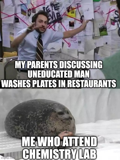Washing crockery in Chemistry lab | MY PARENTS DISCUSSING UNEDUCATED MAN WASHES PLATES IN RESTAURANTS; ME WHO ATTEND CHEMISTRY LAB | image tagged in man explaining to seal | made w/ Imgflip meme maker