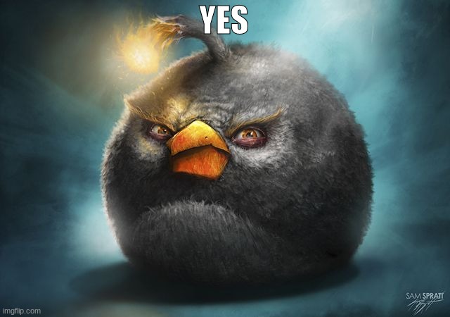 angry birds bomb | YES | image tagged in angry birds bomb | made w/ Imgflip meme maker
