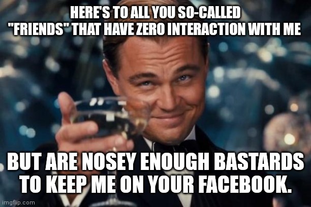 Leonardo Dicaprio Cheers Meme | HERE'S TO ALL YOU SO-CALLED "FRIENDS" THAT HAVE ZERO INTERACTION WITH ME; BUT ARE NOSEY ENOUGH BASTARDS TO KEEP ME ON YOUR FACEBOOK. | image tagged in memes,leonardo dicaprio cheers | made w/ Imgflip meme maker