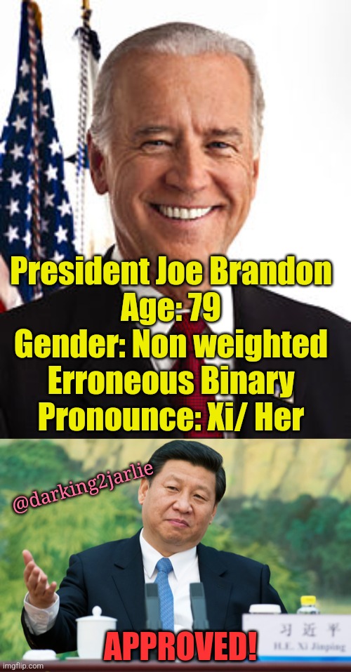 CCO Approved! | President Joe Brandon
Age: 79
Gender: Non weighted Erroneous Binary
Pronounce: Xi/ Her; @darking2jarlie; APPROVED! | image tagged in joe biden,xi jinping,america,china,biden,made in china | made w/ Imgflip meme maker