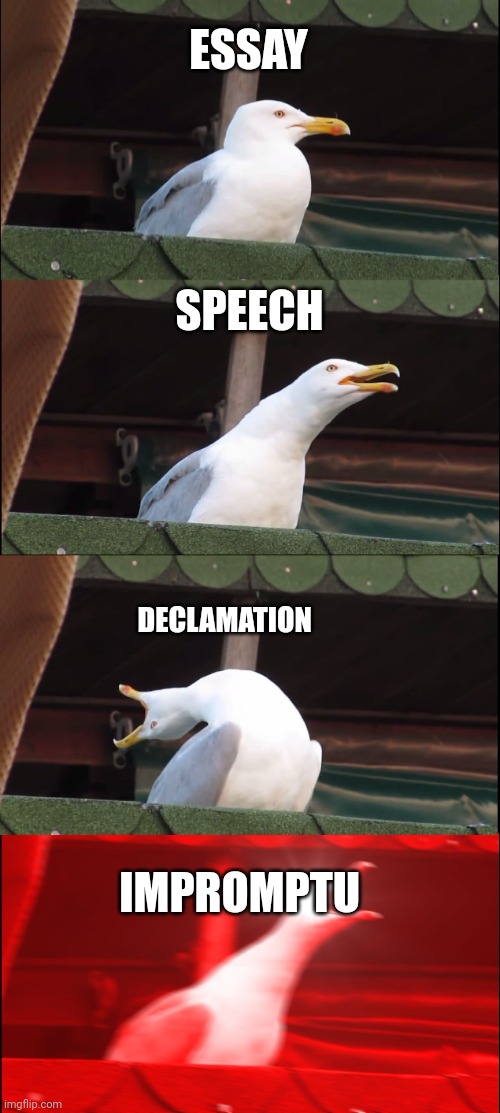 Made by Jordana Mil M. Paguirigan | ESSAY; SPEECH; DECLAMATION; IMPROMPTU | image tagged in memes,inhaling seagull | made w/ Imgflip meme maker
