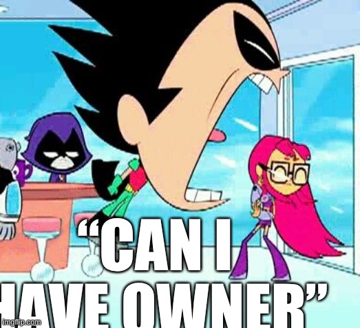 robin yelling at starfire | “CAN I HAVE OWNER” | image tagged in robin yelling at starfire | made w/ Imgflip meme maker