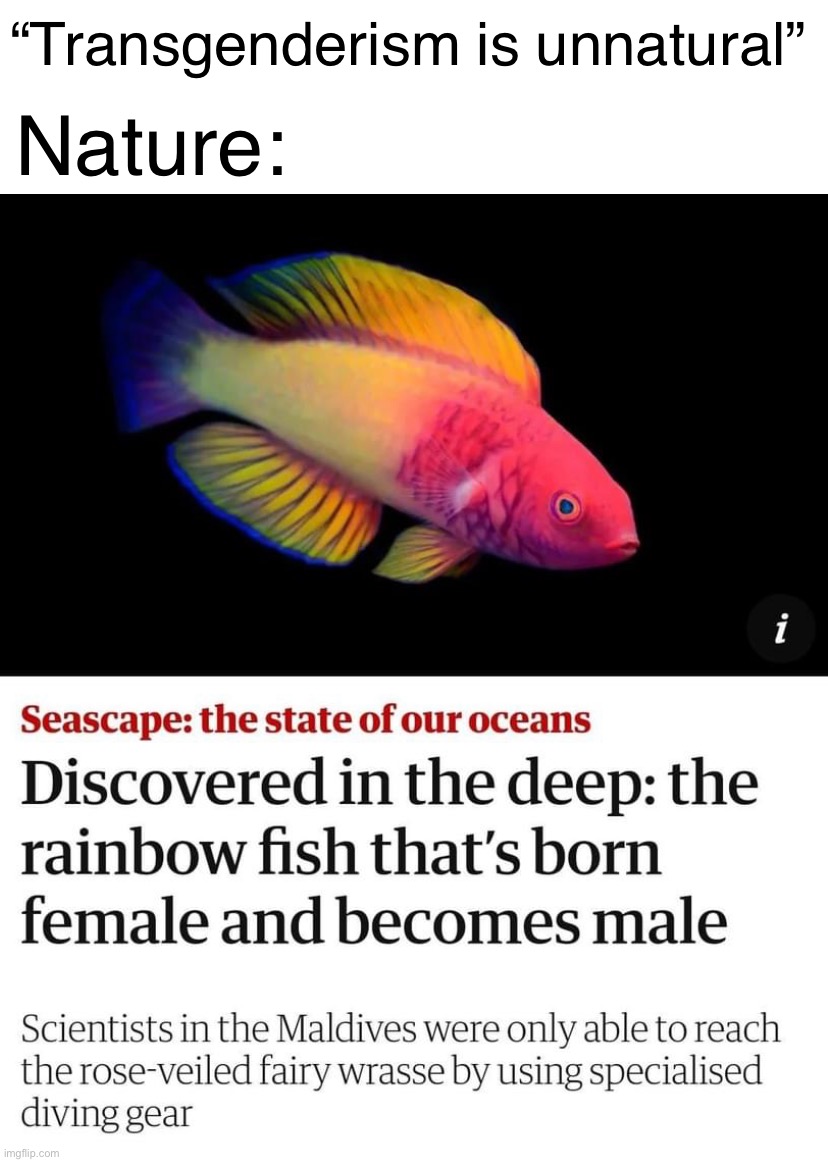 Nature 1, Transphobes 0 | “Transgenderism is unnatural”; Nature: | image tagged in transgenderism is natural,transgender,trans,gender equality,nature,mother nature | made w/ Imgflip meme maker