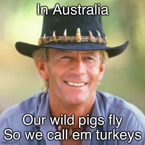 Australia | In Australia; Our wild pigs fly
So we call em turkeys | image tagged in australianguy,pigs fly,meanwhile in australia | made w/ Imgflip meme maker