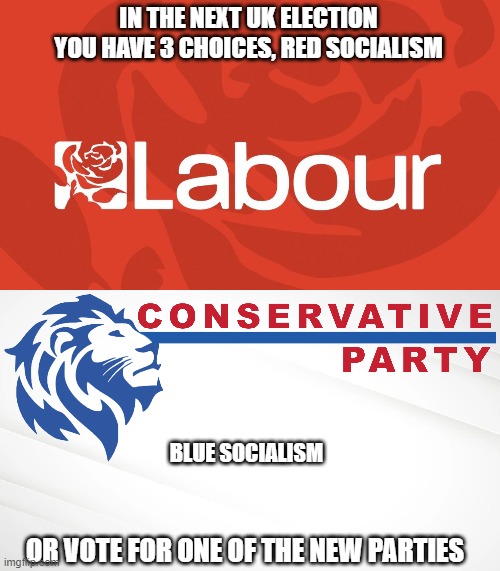 IN THE NEXT UK ELECTION YOU HAVE 3 CHOICES, RED SOCIALISM; BLUE SOCIALISM; OR VOTE FOR ONE OF THE NEW PARTIES | image tagged in labour,conservative party of imgflip | made w/ Imgflip meme maker