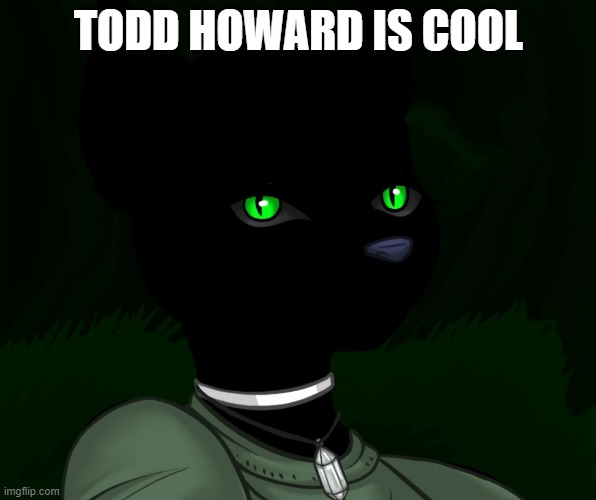 My new panther fursona | TODD HOWARD IS COOL | image tagged in my new panther fursona | made w/ Imgflip meme maker