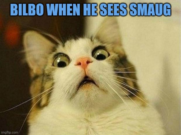 Scared Cat Meme | BILBO WHEN HE SEES SMAUG | image tagged in memes,scared cat | made w/ Imgflip meme maker