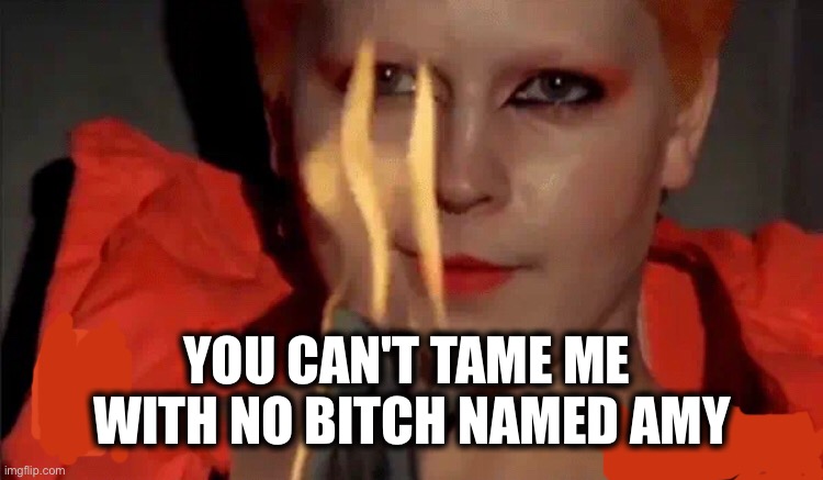 YOU CAN'T TAME ME 
WITH NO BITCH NAMED AMY | image tagged in memes,scotus,14th amendment,medical rights,catholic church,2nd amendment | made w/ Imgflip meme maker