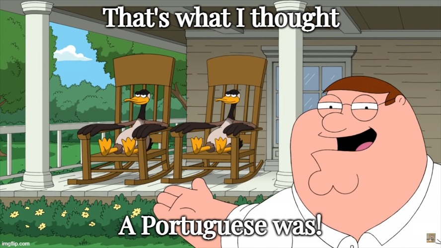 A porch o' geese? | That's what I thought; A Portuguese was! | image tagged in family guy | made w/ Imgflip meme maker
