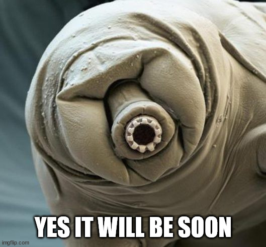 Water Bear | YES IT WILL BE SOON | image tagged in water bear | made w/ Imgflip meme maker