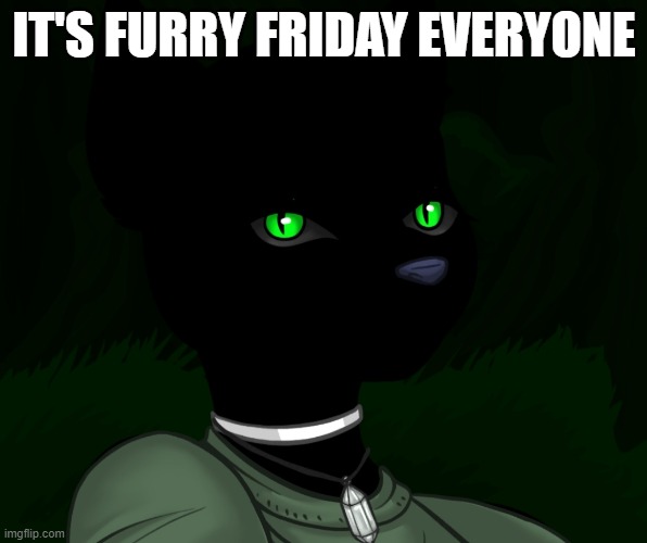 My new panther fursona | IT'S FURRY FRIDAY EVERYONE | image tagged in my new panther fursona | made w/ Imgflip meme maker