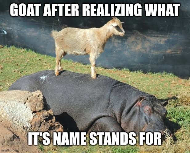 When you realize what your name stands for. | GOAT AFTER REALIZING WHAT; IT'S NAME STANDS FOR | image tagged in goat | made w/ Imgflip meme maker