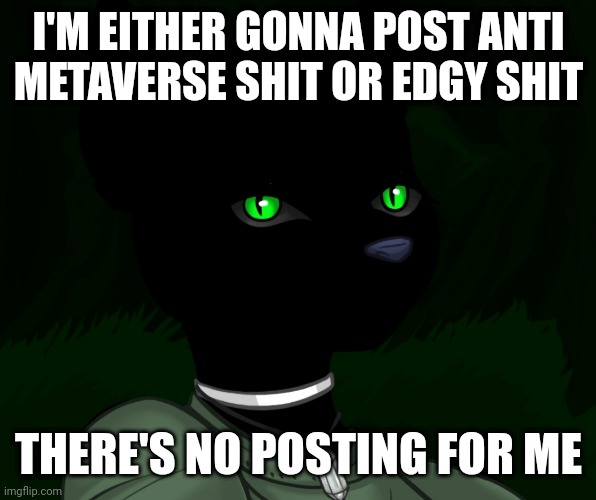 My new panther fursona | I'M EITHER GONNA POST ANTI METAVERSE SHIT OR EDGY SHIT; THERE'S NO POSTING FOR ME | image tagged in my new panther fursona | made w/ Imgflip meme maker