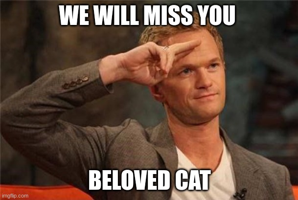 Barney Stinson Salute | WE WILL MISS YOU BELOVED CAT | image tagged in barney stinson salute | made w/ Imgflip meme maker