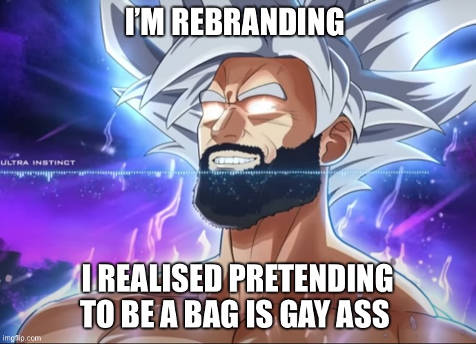 Tera Chad | I’M REBRANDING; I REALISED PRETENDING TO BE A BAG IS GAY ASS | image tagged in tera chad | made w/ Imgflip meme maker