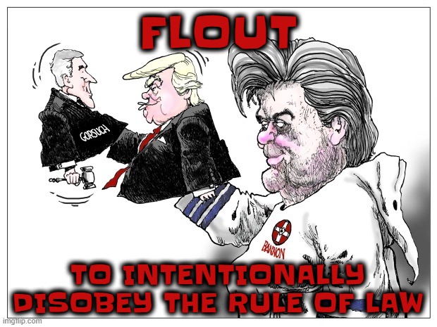 FLOUT | FLOUT; TO INTENTIONALLY DISOBEY THE RULE OF LAW | image tagged in flout,contempt,disobey,disregard,mock,refuse | made w/ Imgflip meme maker