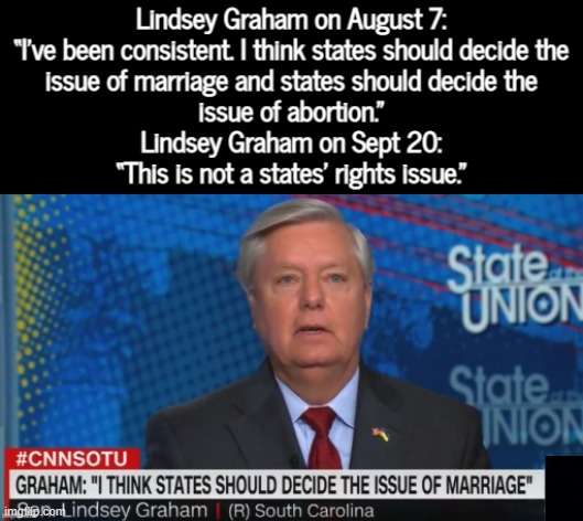 FLIP FLOPPING LIL BITCH | image tagged in lindsey graham,dandelion,liar liar,gop hypocrite,conservative hypocrisy,disgusting | made w/ Imgflip meme maker