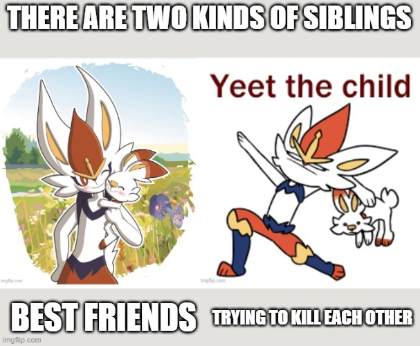 THERE ARE TWO KINDS OF SIBLINGS; BEST FRIENDS; TRYING TO KILL EACH OTHER | made w/ Imgflip meme maker