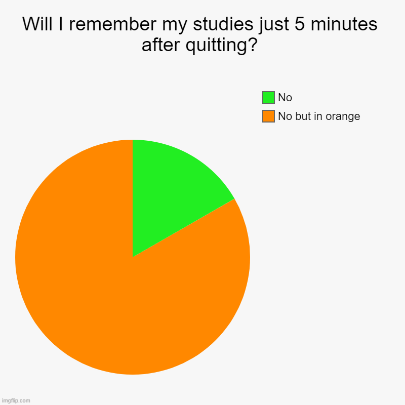 Will I remember my studies just 5 minutes after quitting? | No but in orange, No | image tagged in charts,pie charts | made w/ Imgflip chart maker