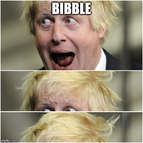 Boris Johnson hair | BIBBLE | image tagged in boris johnson hair | made w/ Imgflip meme maker