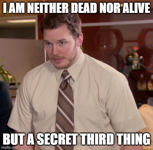 Afraid To Ask Andy | I AM NEITHER DEAD NOR ALIVE; BUT A SECRET THIRD THING | image tagged in memes,afraid to ask andy | made w/ Imgflip meme maker