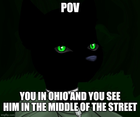 My new panther fursona | POV; YOU IN OHIO AND YOU SEE HIM IN THE MIDDLE OF THE STREET | image tagged in my new panther fursona | made w/ Imgflip meme maker