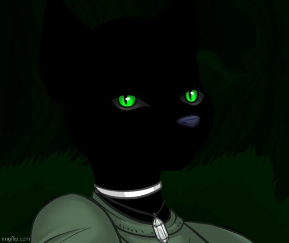 My new panther fursona | image tagged in my new panther fursona | made w/ Imgflip meme maker