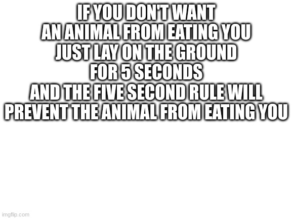 Blank White Template | IF YOU DON'T WANT AN ANIMAL FROM EATING YOU
JUST LAY ON THE GROUND FOR 5 SECONDS
AND THE FIVE SECOND RULE WILL PREVENT THE ANIMAL FROM EATING YOU | image tagged in blank white template | made w/ Imgflip meme maker