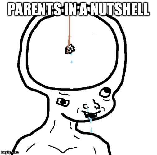 Dumb wojak | PARENTS IN A NUTSHELL | image tagged in dumb wojak | made w/ Imgflip meme maker