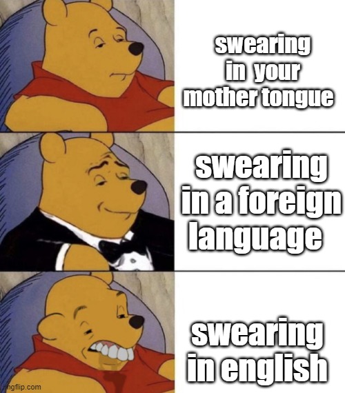 Whinnie The Poo (Normal, Fancy, Gross) | swearing in  your mother tongue; swearing in a foreign language; swearing in english | image tagged in whinnie the poo normal fancy gross | made w/ Imgflip meme maker