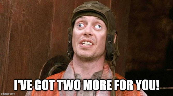 Steve Buscemi | I'VE GOT TWO MORE FOR YOU! | image tagged in steve buscemi | made w/ Imgflip meme maker