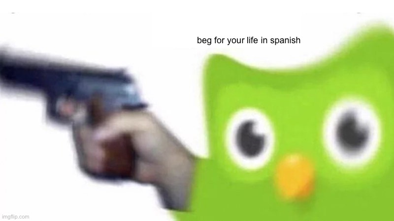 duolingo gun | beg for your life in spanish | image tagged in duolingo gun | made w/ Imgflip meme maker