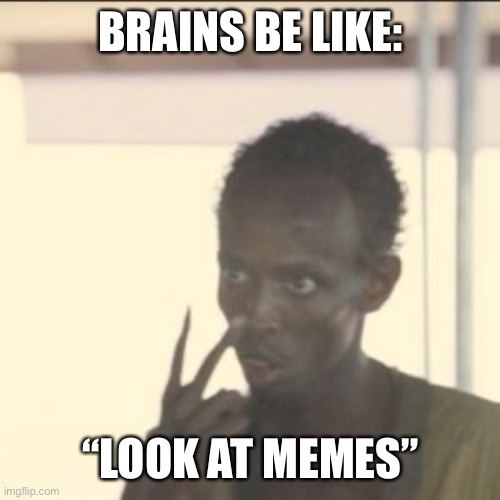 Look At Me | BRAINS BE LIKE:; “LOOK AT MEMES” | image tagged in memes,look at me | made w/ Imgflip meme maker