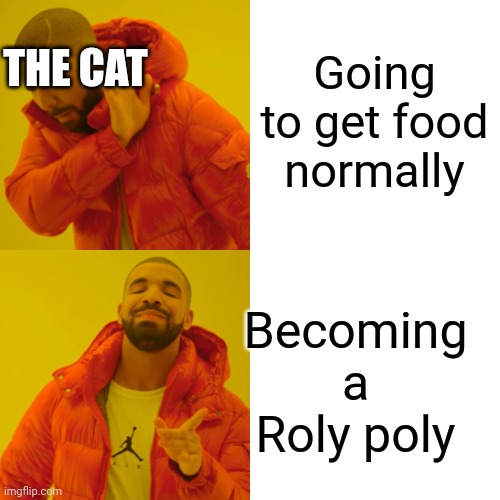 Drake Hotline Bling Meme | Going to get food normally Becoming a Roly poly THE CAT | image tagged in memes,drake hotline bling | made w/ Imgflip meme maker