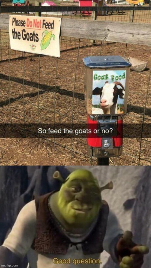 . | image tagged in shrek good question,goat,feed,funny,memes,you had one job | made w/ Imgflip meme maker