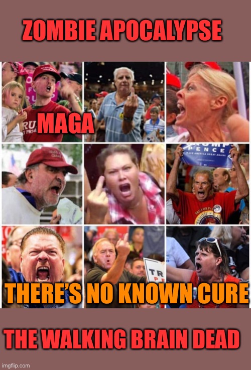 Triggered Trump supporters | ZOMBIE APOCALYPSE; MAGA; THERE’S NO KNOWN CURE; THE WALKING BRAIN DEAD | image tagged in triggered trump supporters | made w/ Imgflip meme maker