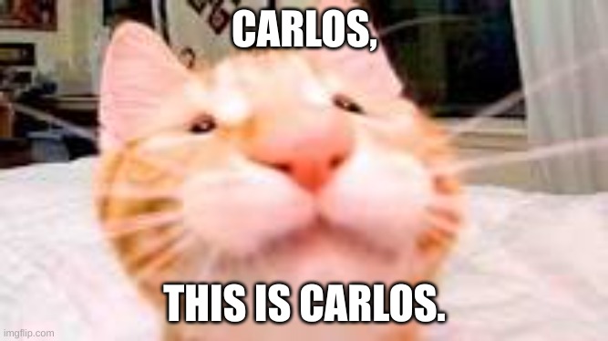 CARLOS, THIS IS CARLOS. | image tagged in funny,funny memes | made w/ Imgflip meme maker