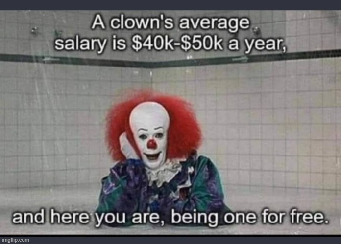 You Fool | image tagged in clown,salary,rareinsults,funny,memes | made w/ Imgflip meme maker