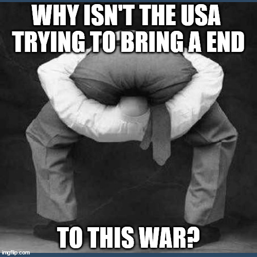 The WAR. | WHY ISN'T THE USA 
TRYING TO BRING A END; TO THIS WAR? | image tagged in usa,russia,ukraine,war,peace | made w/ Imgflip meme maker